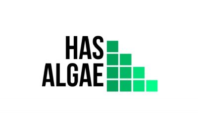 Meet Our 2020 Finalists: Has Algae