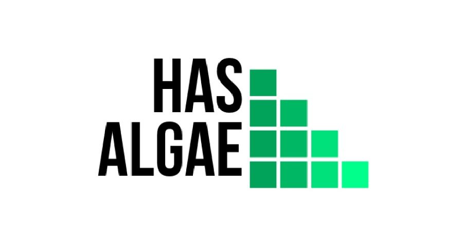 Meet Our 2020 Finalists: Has Algae