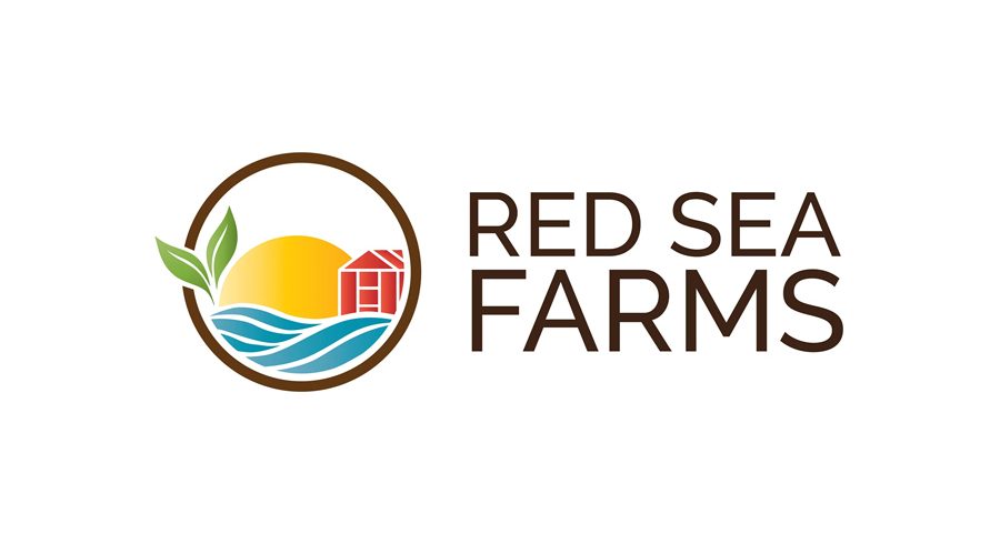 Meet Our 2020 Finalists: Red Sea Farms